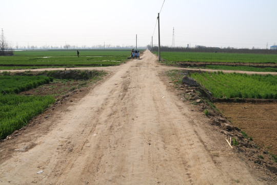 田间小路