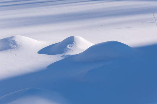 雪地