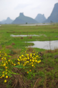 春暖花开