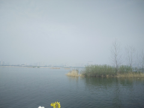 河边风景