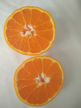 丑橘 不知火