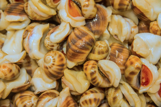 蜗牛 海鲜 美食