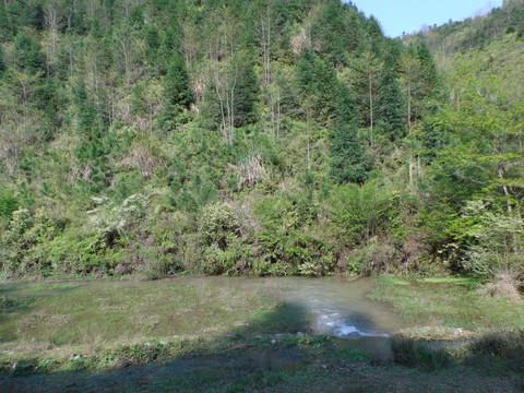 山间溪流