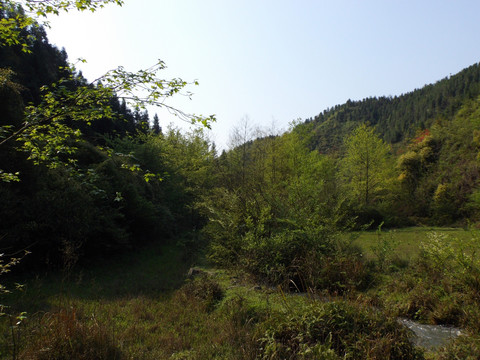 山间风景