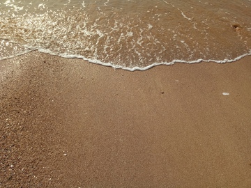 海边海鸥海浪