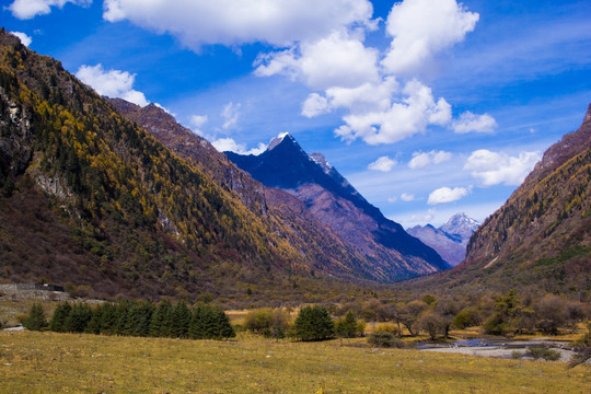 四姑娘山