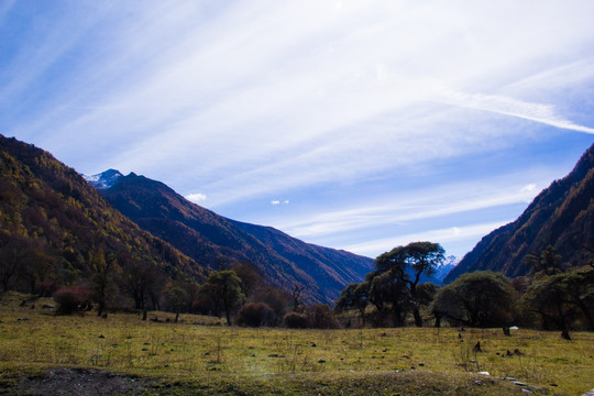 四姑娘山