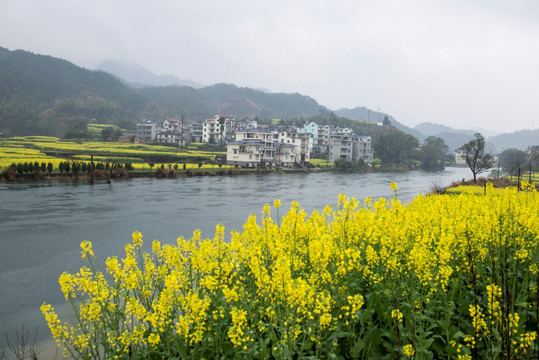 春天的风景