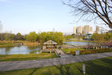 湖堤