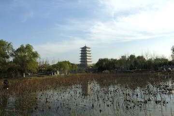 湖塔
