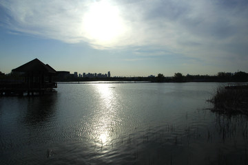 城市湖景