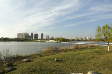 城市湖景