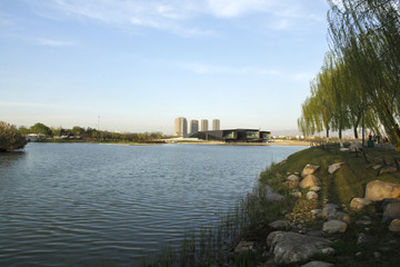 城市湖景