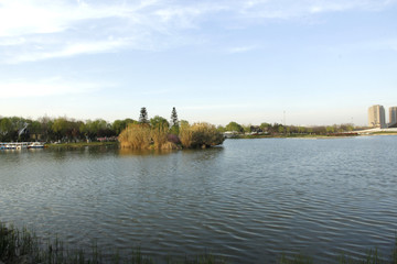 城市湖景