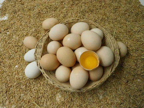 新鲜土鸡蛋