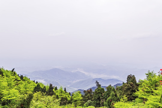 南岳衡山 森林