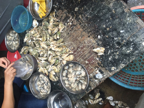 敲海蛎