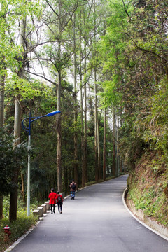 九峰山公园健康步道