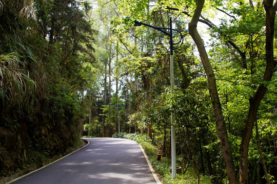 九峰山公园健康步道