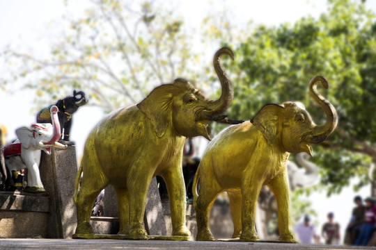 泰国大象雕塑