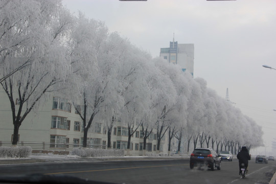 梅河口雪景