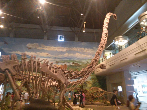 自贡市恐龙博物馆
