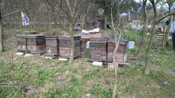 蜂箱 养蜂箱