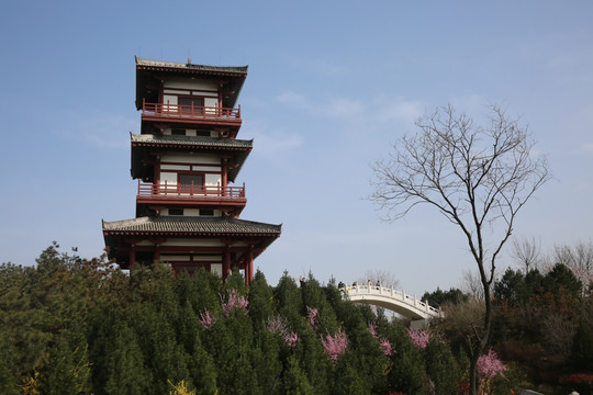 植物园景色