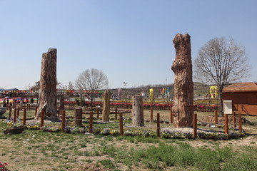 树桩
