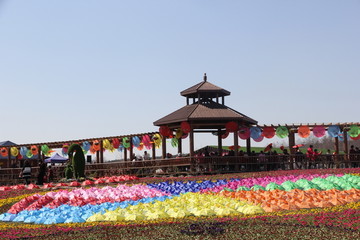 花圃