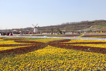 花艺