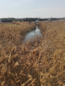 卤阳湖国家湿地公园