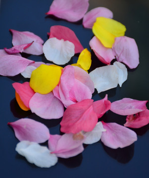 花瓣