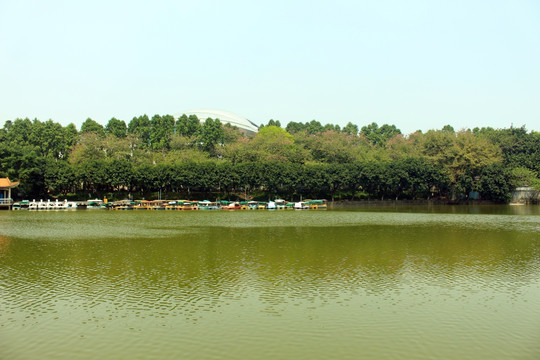 平静的湖水