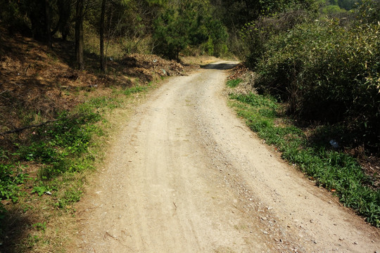 山间小路