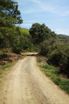 山间小路