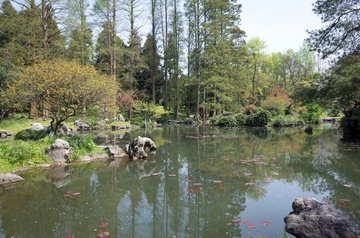 杭州植物园 公园