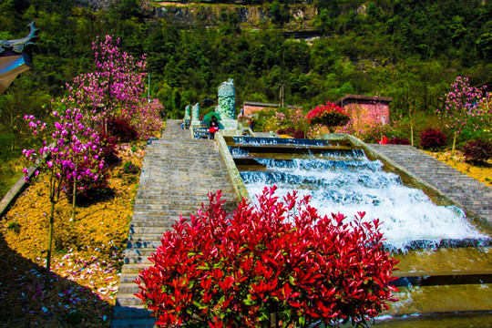 水花 浪花