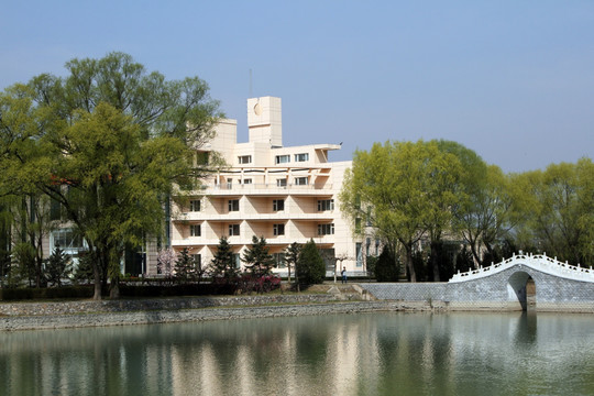 楼房小桥