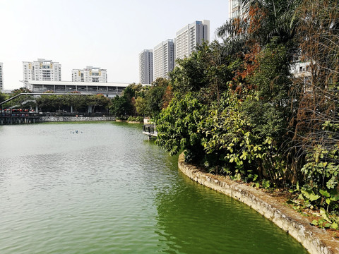 深圳市横岗人民公园