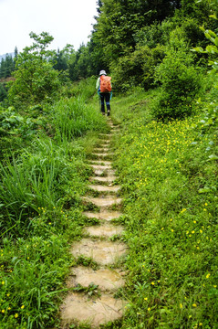 山野小路