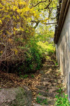 上山路