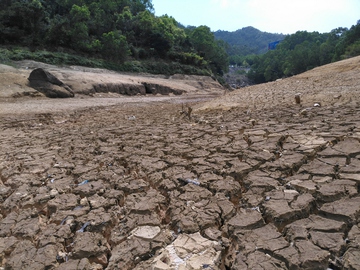 河道干枯