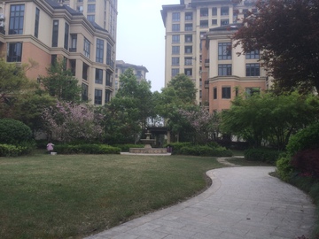 小区内景 