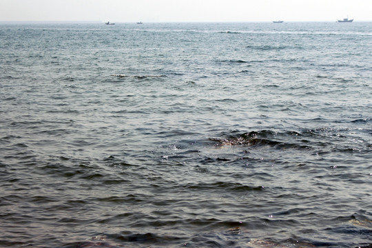 大海