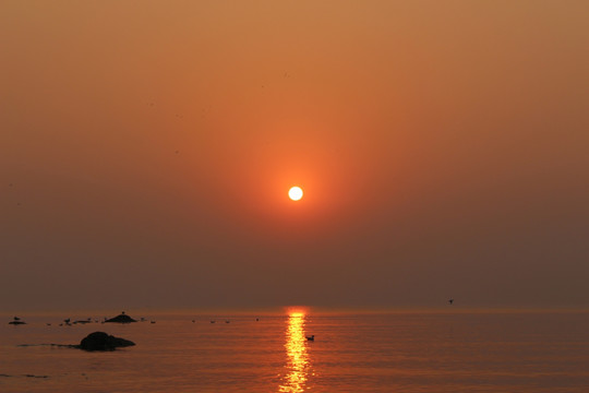 鸽子窝公园海上日出