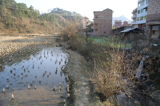 秀地田野