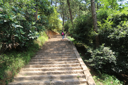 金殿石阶路