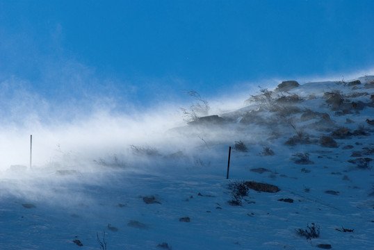 风吹雪