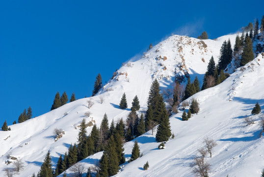 山雪